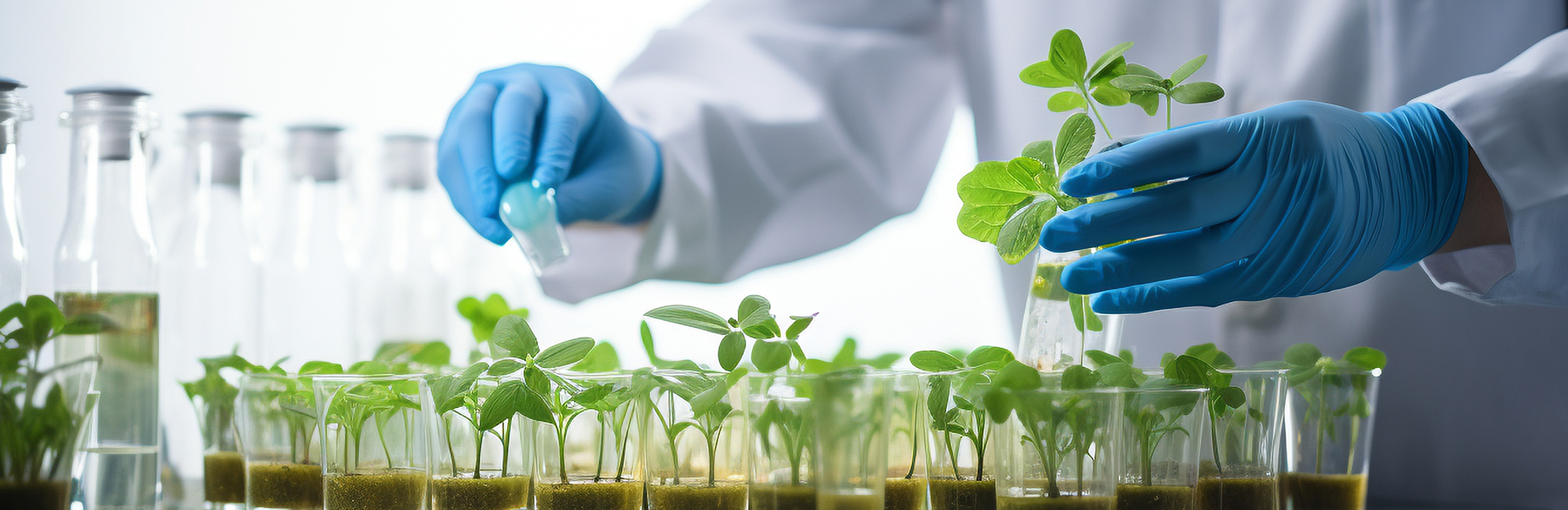 一對一專業服務